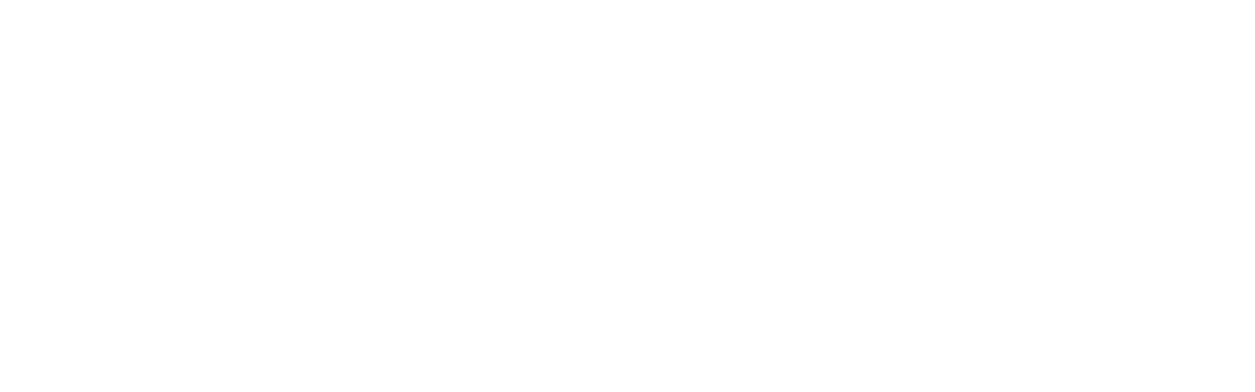 BR PNG Port Services